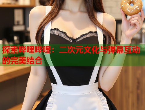 探索哔哩哔哩：二次元文化与弹幕互动的完美结合