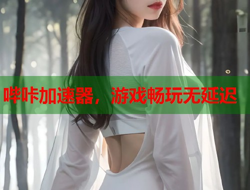 哔咔加速器，游戏畅玩无延迟