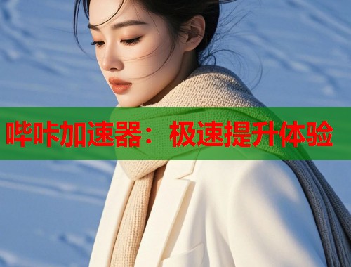 哔咔加速器：极速提升体验
