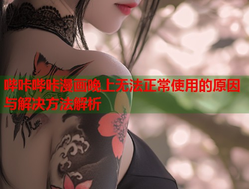 哔咔哔咔漫画晚上无法正常使用的原因与解决方法解析