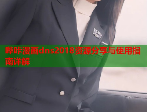 哔咔漫画dns2018资源分享与使用指南详解 哔咔漫画dns2018资源分享与使用指南详解