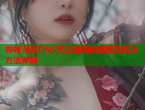 哔咔漫画DNS无法使用的原因及解决方法详解 哔咔漫画DNS无法使用的原因及解决方法详解