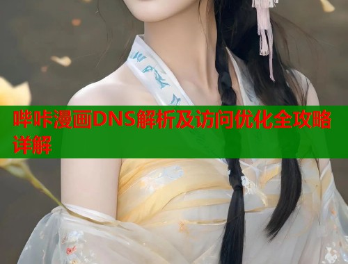 哔咔漫画DNS解析及访问优化全攻略详解 哔咔漫画DNS解析及访问优化全攻略详解