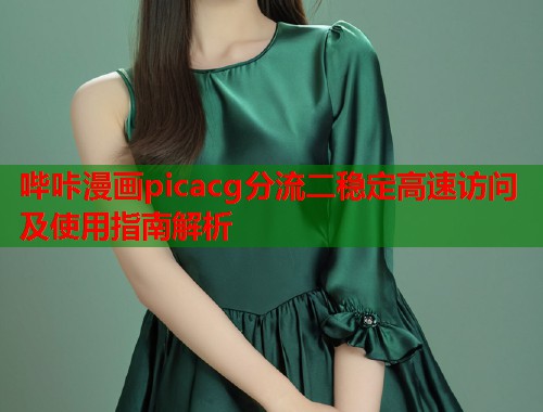 哔咔漫画picacg分流二稳定高速访问及使用指南解析