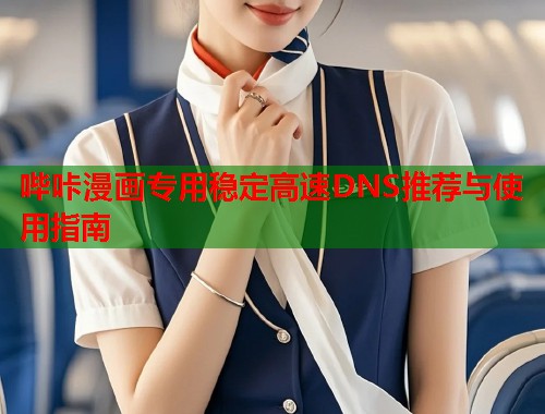 哔咔漫画专用稳定高速DNS推荐与使用指南